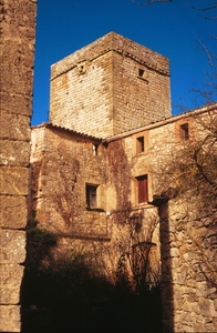 Castell de la Sala (20)