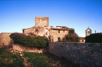 Castell de la Sala (14)