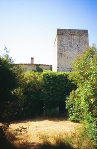 Castell de la Sala (10)