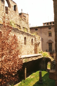 Castell dels Moncada (2)