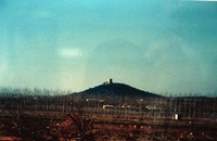 Castell d'Ulldecona (19)