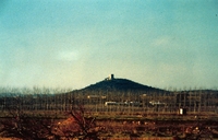 Castell d'Ulldecona (20)