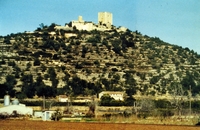 Castell d'Ulldecona (24)