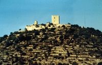 Castell d'Ulldecona (25)
