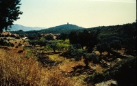 Castell d'Ulldecona (31)