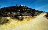 Castell d'Ulldecona (32)