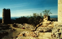 Castell d'Ulldecona (37)