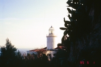 Entorn Torre de Sant Sebastià (16)