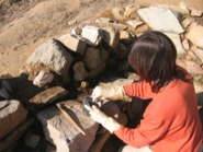 Intervenció de conservació i restauració del jaciment arqueològic de la Cadira del Bisbe
