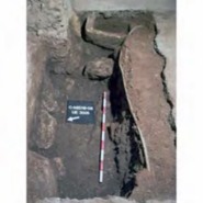 Memòria de la intervenció arqueològica als baixos de la finca del c/ d'en Mediona, 18 (Tarragona, Tarragonès)