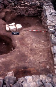 Memòria de la intervenció arqueològica efectuada en el nucli ibèric del Cogulló (Sallent, Bages). Campanya 2003