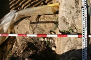 Memòria científica del control arqueològic de la neteja i posterior documentació d'un pany de muralla al carrer Bellesguard 19-23 de Barcelona (Codi d'intervenció 102/05)