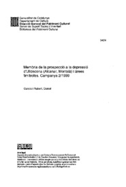 Memòria de la prospecció a la depressió d'Ulldecona (Alcanar, Montsià) i àrees limítrofes. Campanya 2/1999