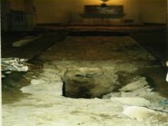 Eexcavacions arqueològiques d'urgència realitzades a l'església de Santa Maria de Vallfogona de Riucorb