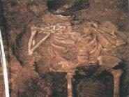 Necropoli del poligon industrial Mas Pujol - Estudi paleontropològic - Franqueses del Vallès