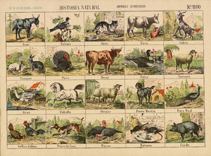 Historia natural : animales domesticos