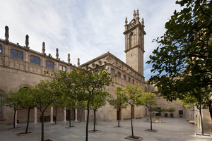 Palau de la Generalitat (5)