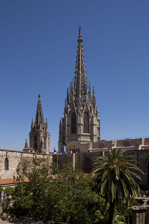 Catedral de la Santa Creu i Santa Eulàlia (9)