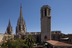 Catedral de la Santa Creu i Santa Eulàlia (8)