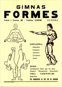 Cartell gimnàs Formes