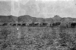 Pagesos amb cavalls prop del front d Aragó