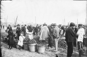 Mercat de taronges al moll del Port de Barcelona