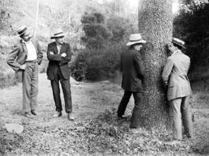 Dos homes fent broma orinen a un arbre i altres dos els miren.