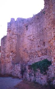 Castell de Gelida (92)