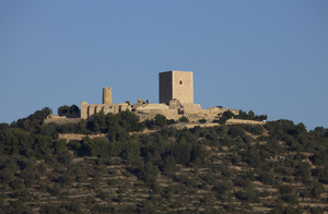 Castell d'Uldecona (1)