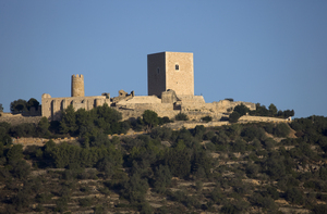 Castell d'Uldecona (2)