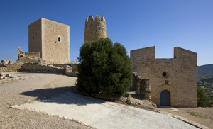 Castell d'Uldecona (16)