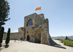 Castell de Sant Martí Sarroca (10)