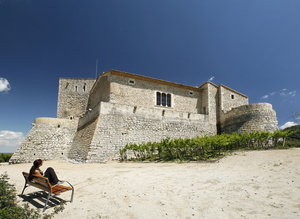 Castell de Sant Martí Sarroca (12)