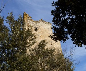 Castell de Santa Perpètua de Gaià (8)