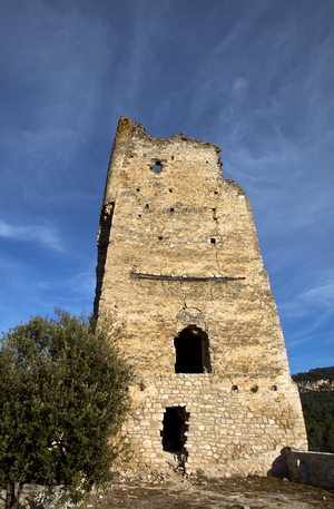 Castell de Santa Perpètua de Gaià (10)