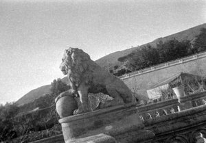 Escultura d'un lleó a la barana de pedra de Can Mestres, a Barcelona.