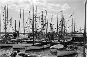 Grup de velers amarrats al port de Barcelona.