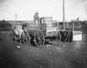Carro carregat amb bales de cotó a Brownwood, Estats Units