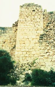 Castell de Miravet (1030)