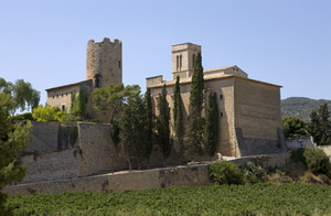 Església vella de Sant Pere de Ribes (6)