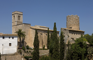 Església vella de Sant Pere de Ribes (7)