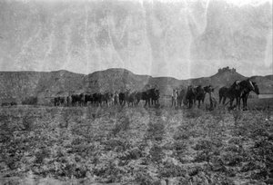 Pagesos amb cavalls prop del front d Aragó