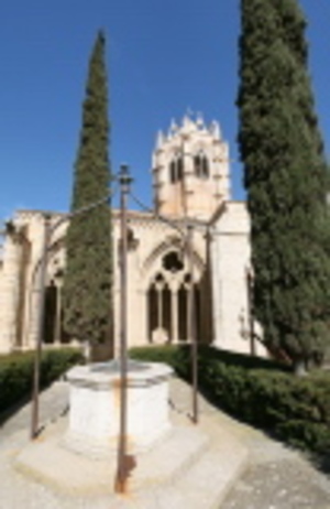 Monestir de Santa Maria de Vallbona (17)