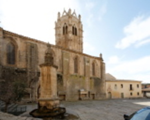 Monestir de Santa Maria de Vallbona (30)
