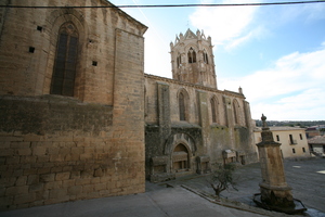 Monestir de Santa Maria de Vallbona (32)