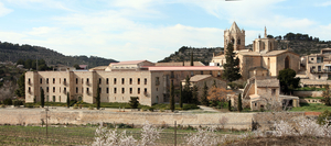 Monestir de Santa Maria de Vallbona (33)