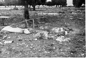 Restes d'un campament de les tropes [italianes del CTV] abandonat després de la batalla de Guadalajara