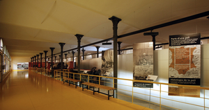 Museu de la Pell d'Igualada i Comarcal de l'Anoia (1)