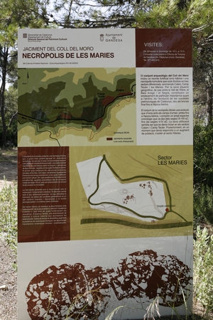 Necròpolis del Coll del Moro (1)