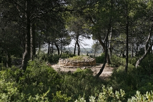 Necròpolis del Coll del Moro (2)